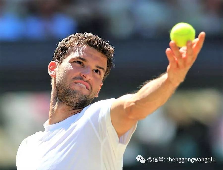 内场外都能 内场外都能