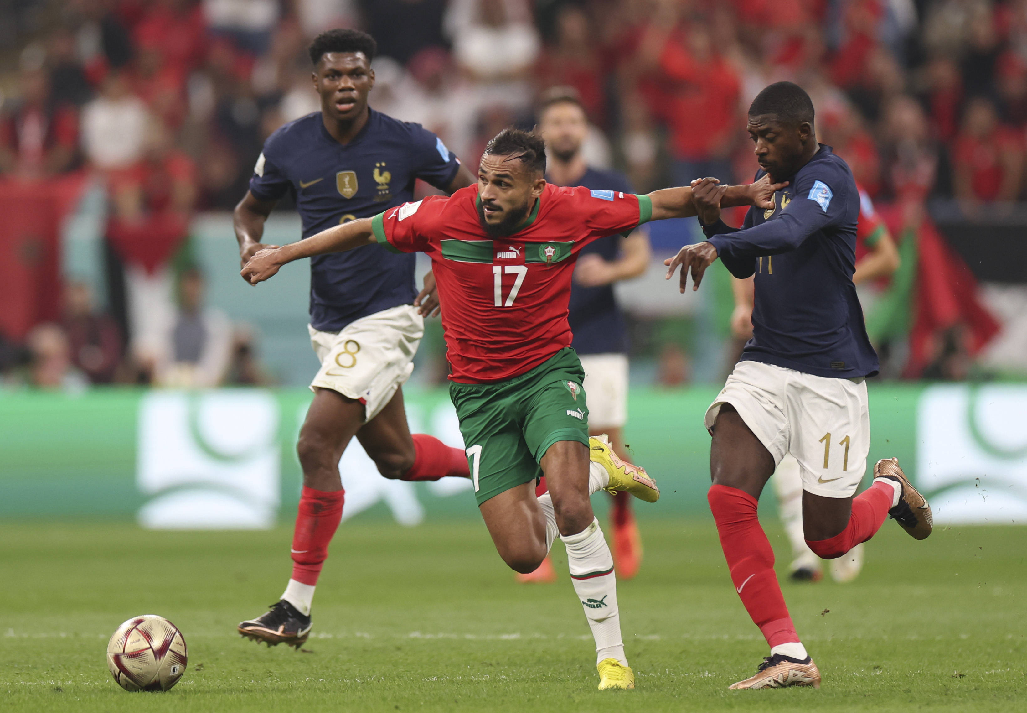 行的典范 行的典范